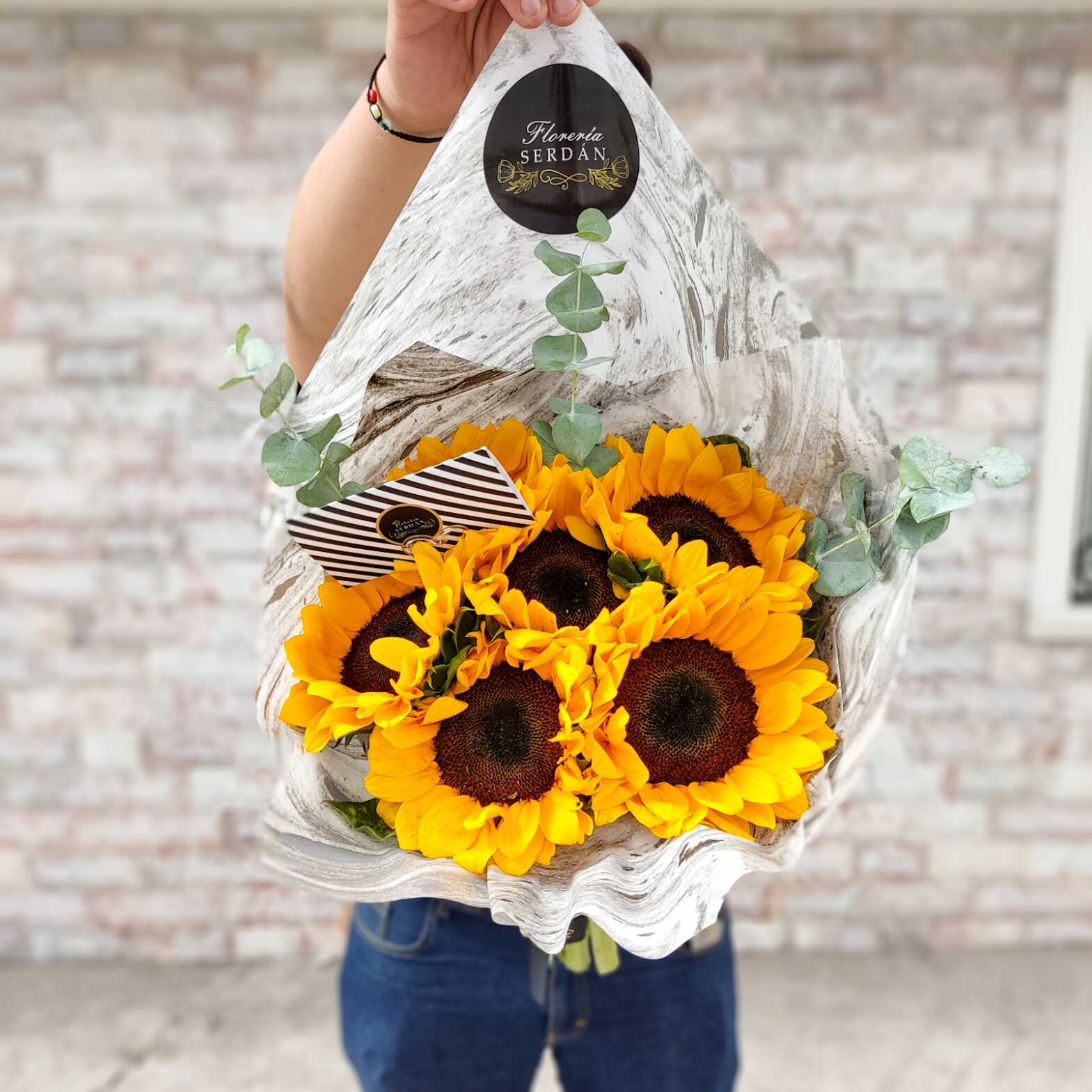 5 Girasoles