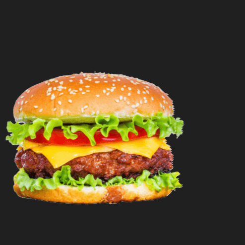 BURGER ESPECIAL