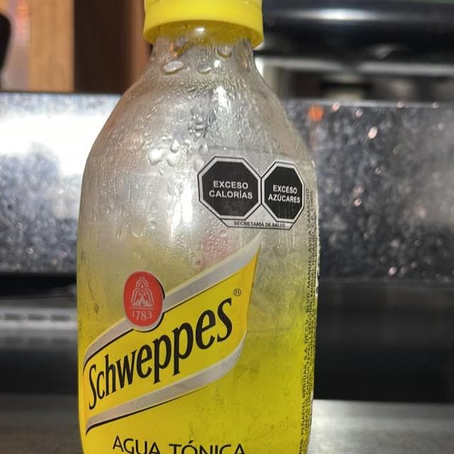 APP- AGUA QUINA 296 ML
