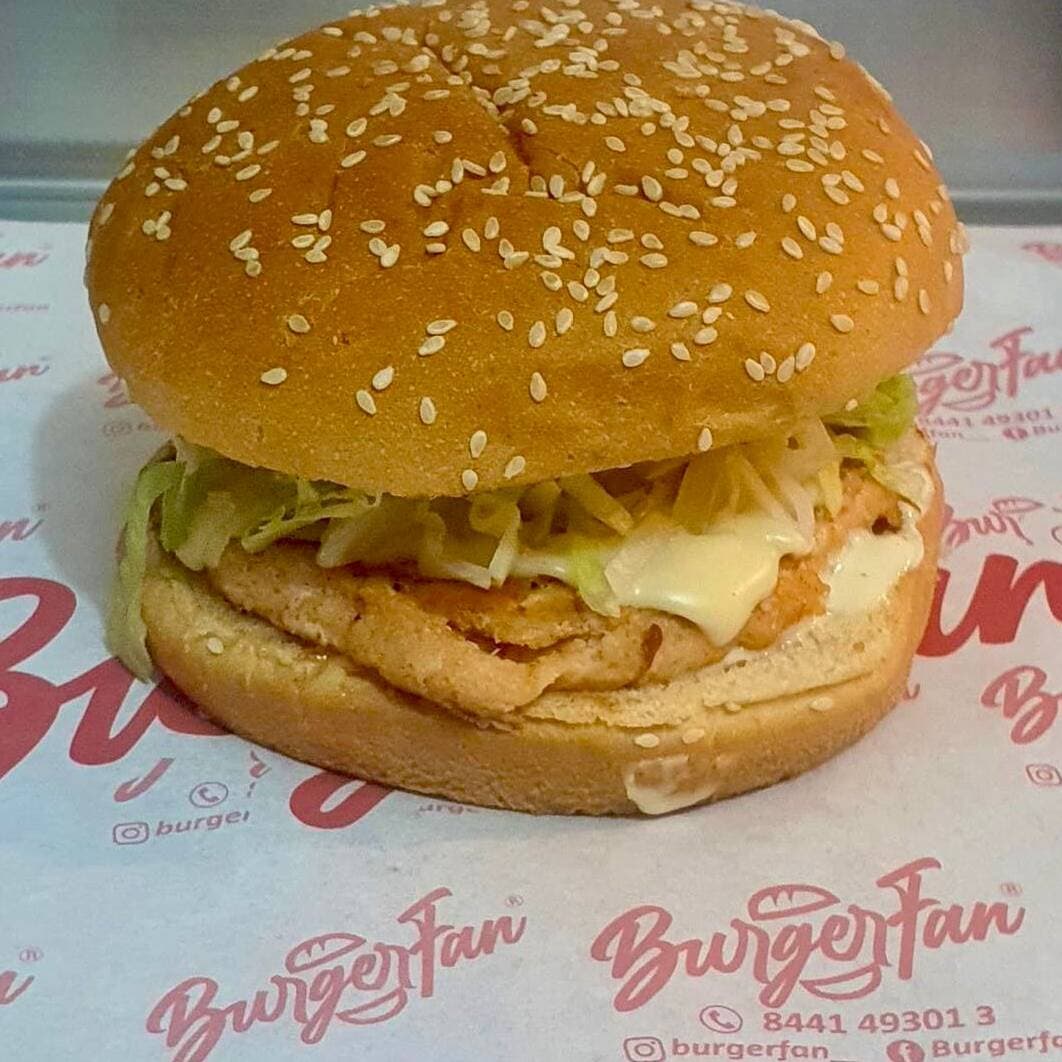 combo 11 salmon