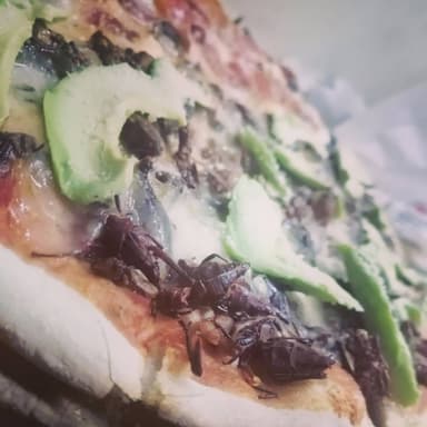 Chapulines