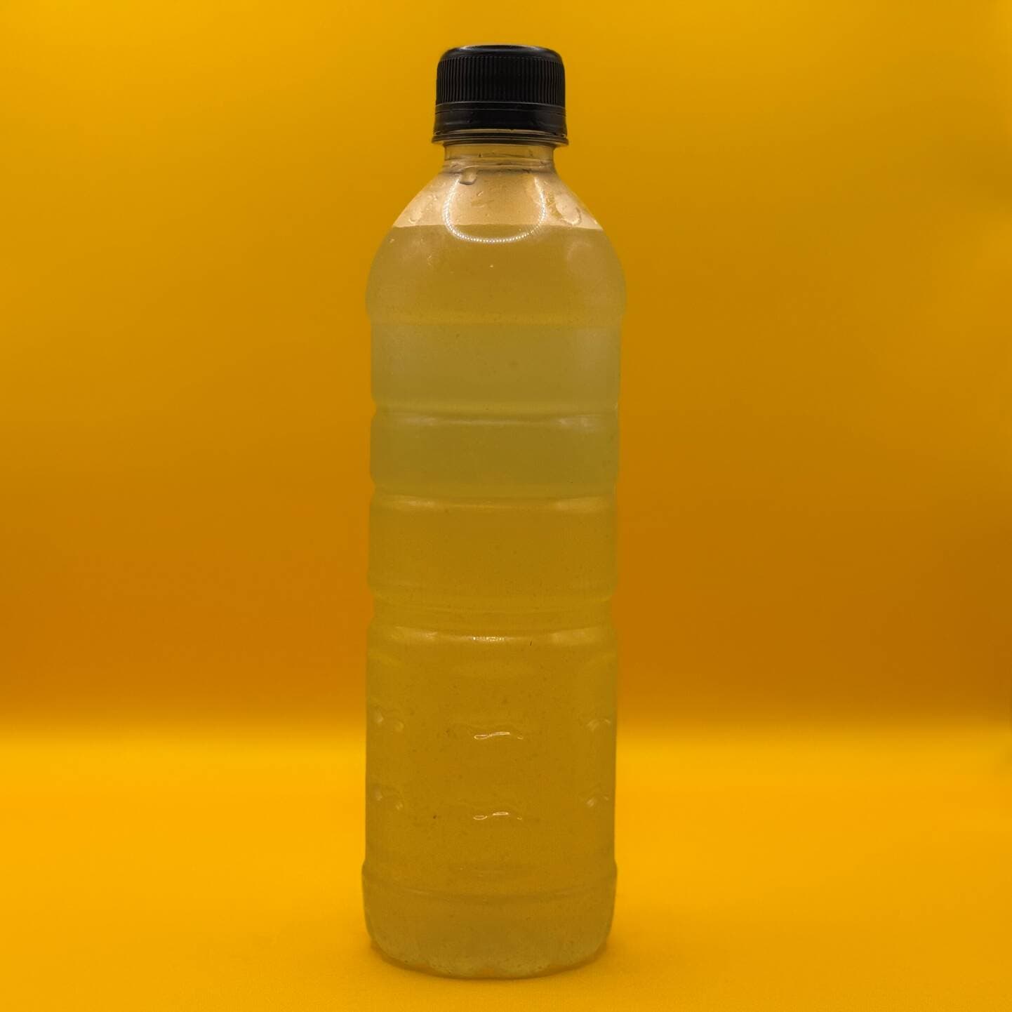 PEPINO LIMON 500ML