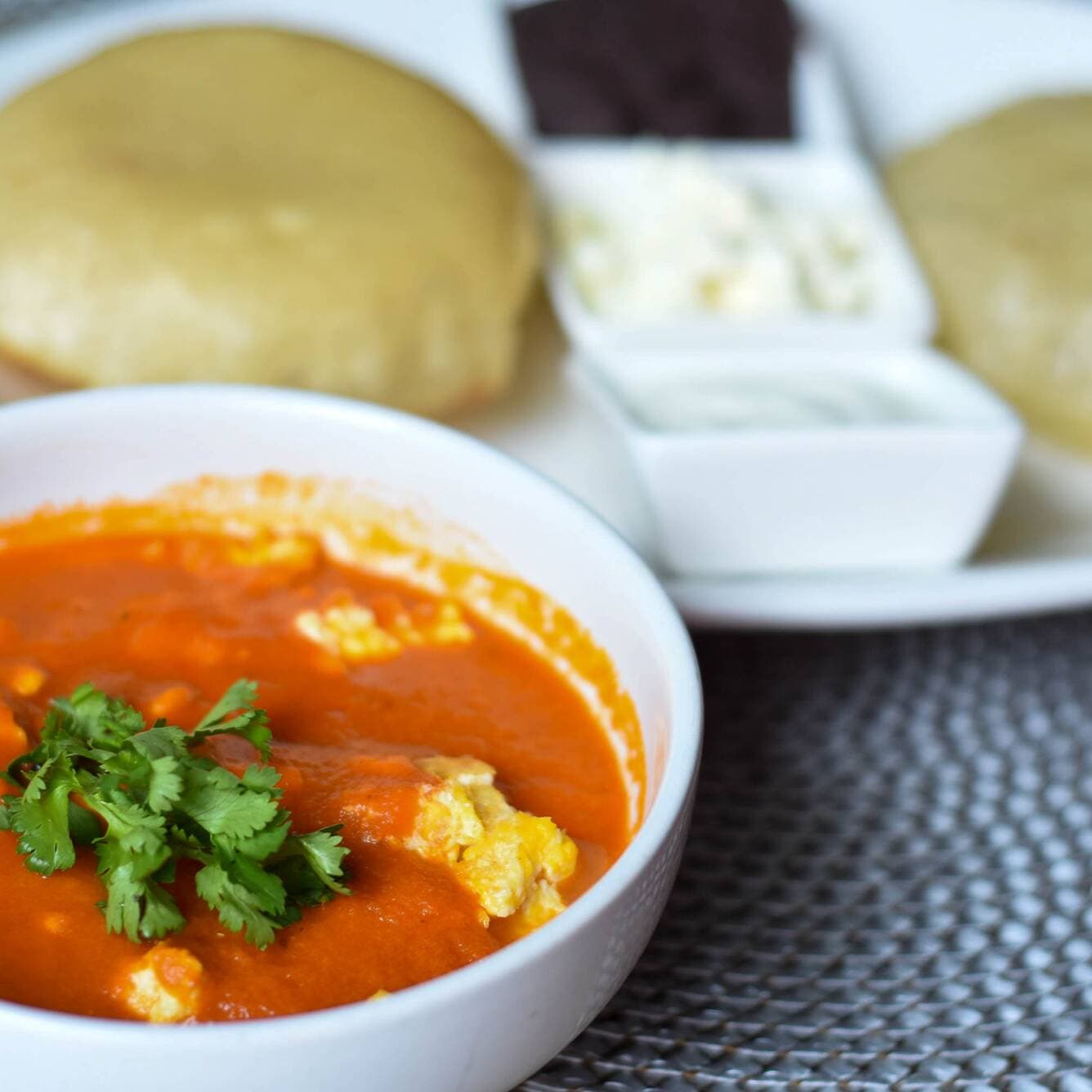 GORDAS DE VERACRUZ