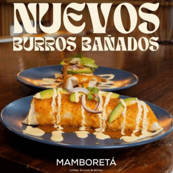 Burro Bañado