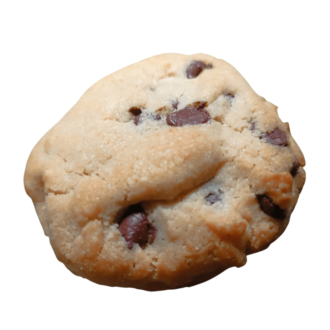 Galleta Tradicional