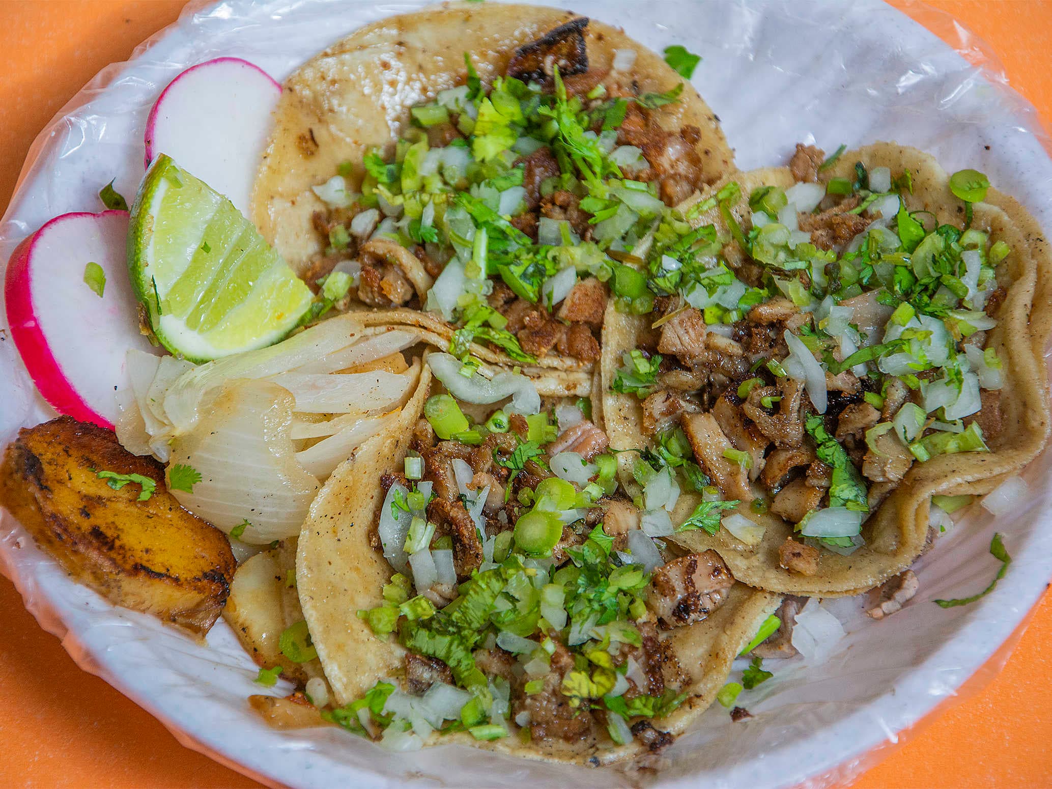 Taco de Sesos