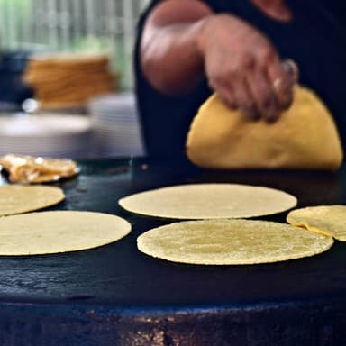 10 Tortillas Extra