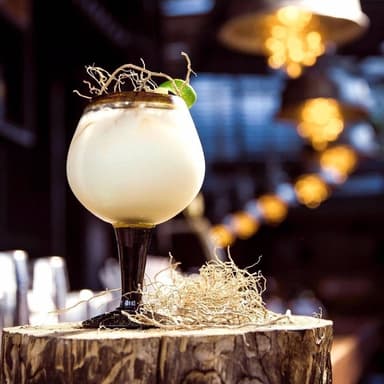 Gin Tiki Tonic