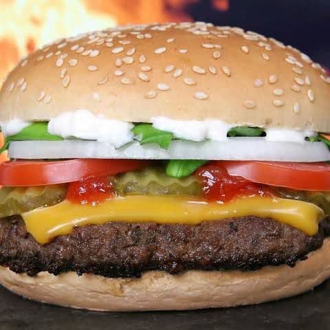 Hamburguesa Especial Didi Promo
