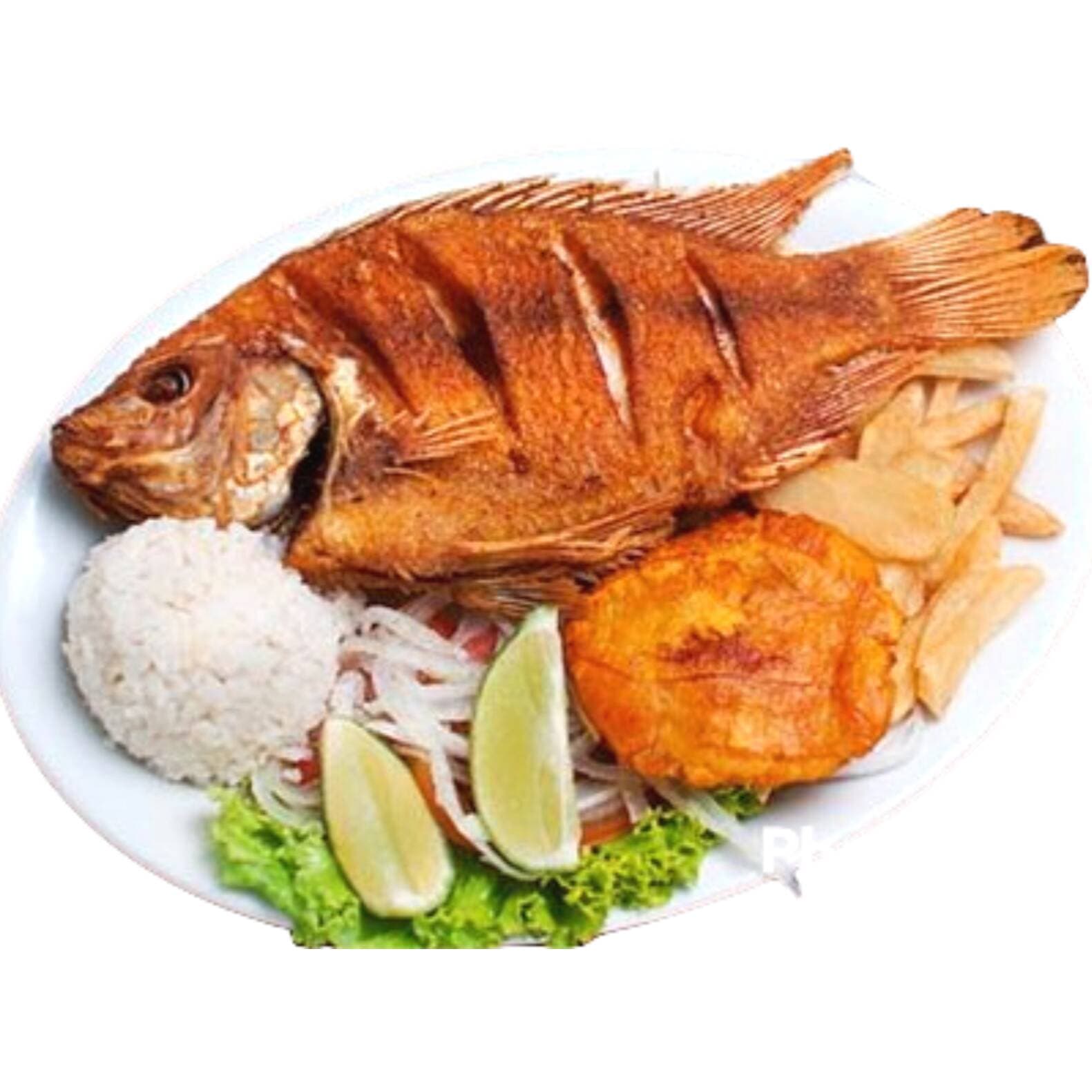 MOJARRA FRITA