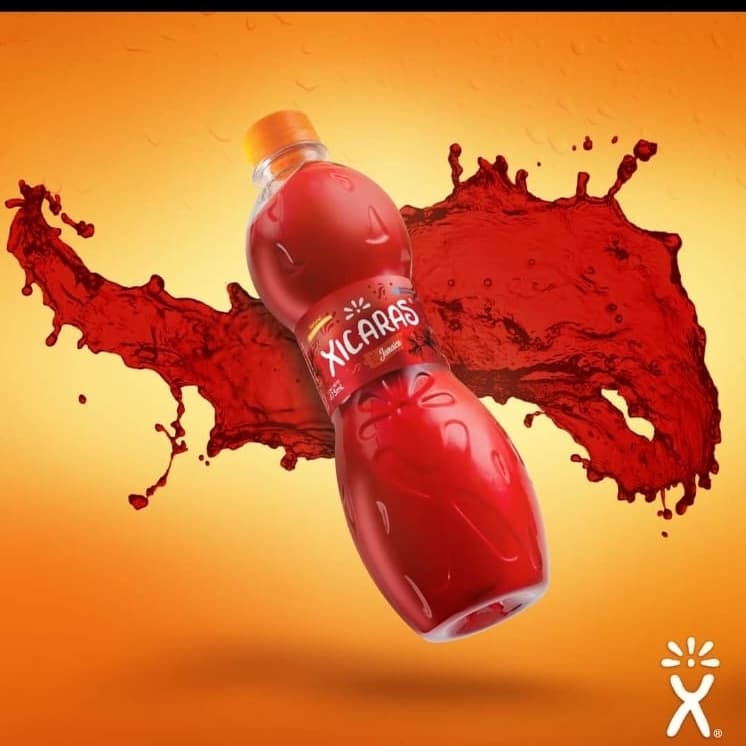 AGUA DE JAMAICA 500 ML