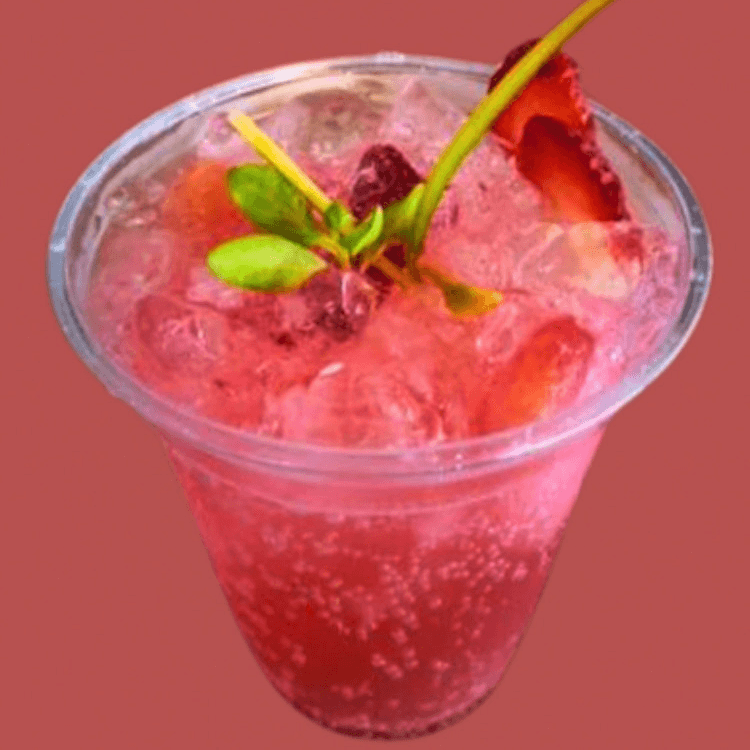 Soda Artesanal de Sandia