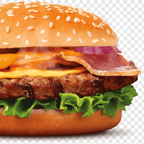 BURGER ESPECIAL