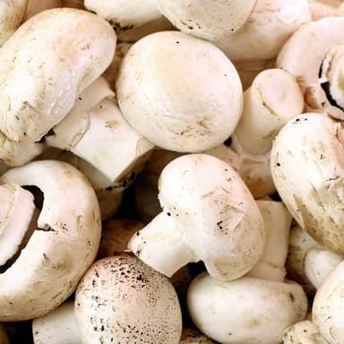 Vegetales extra aeleccion. especificar