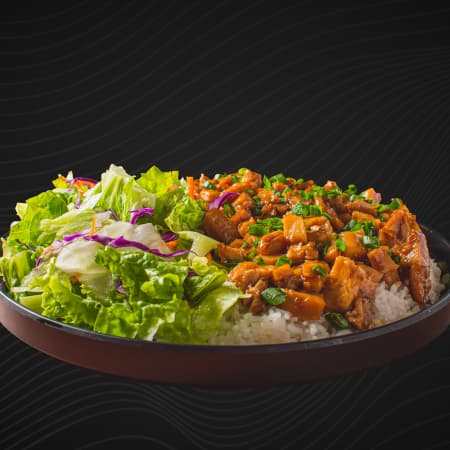 Teriyaki Especial Mediano Mixto