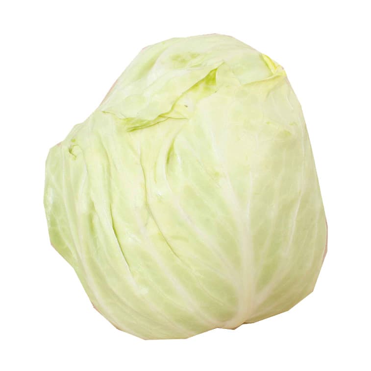 Col Blanca Kyabetsu 1 pza - RE-FVL355-0855