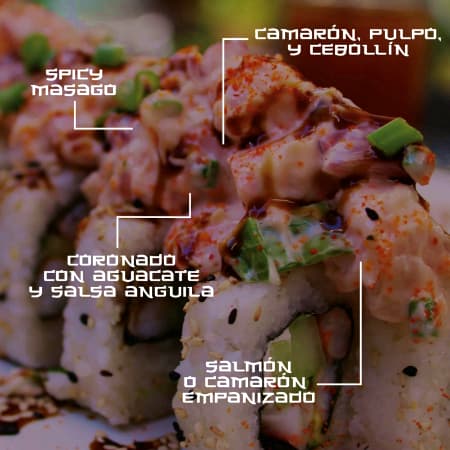 Castro Roll