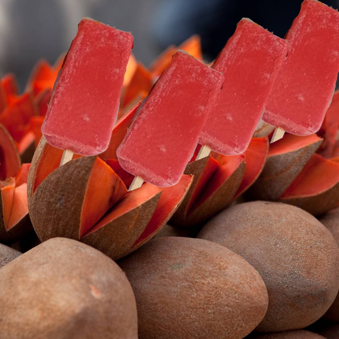 Paleta de Crema Mamey