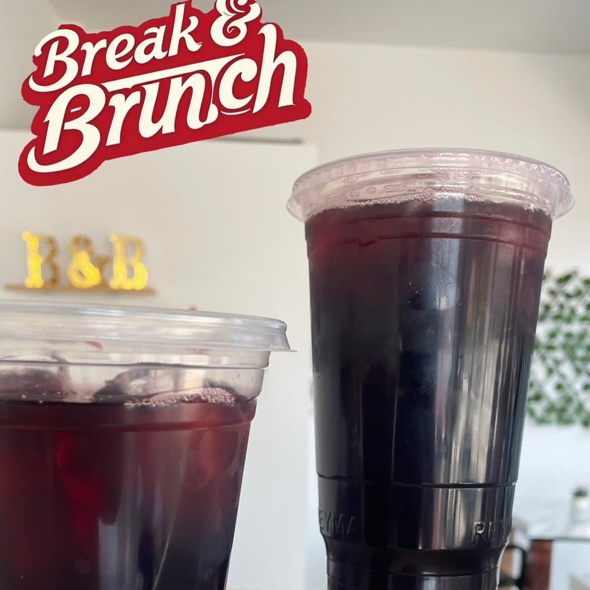 AGUA DE JAMAICA NATURAL 1L