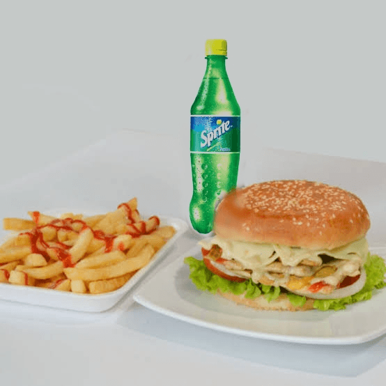 Combo Individual Burger