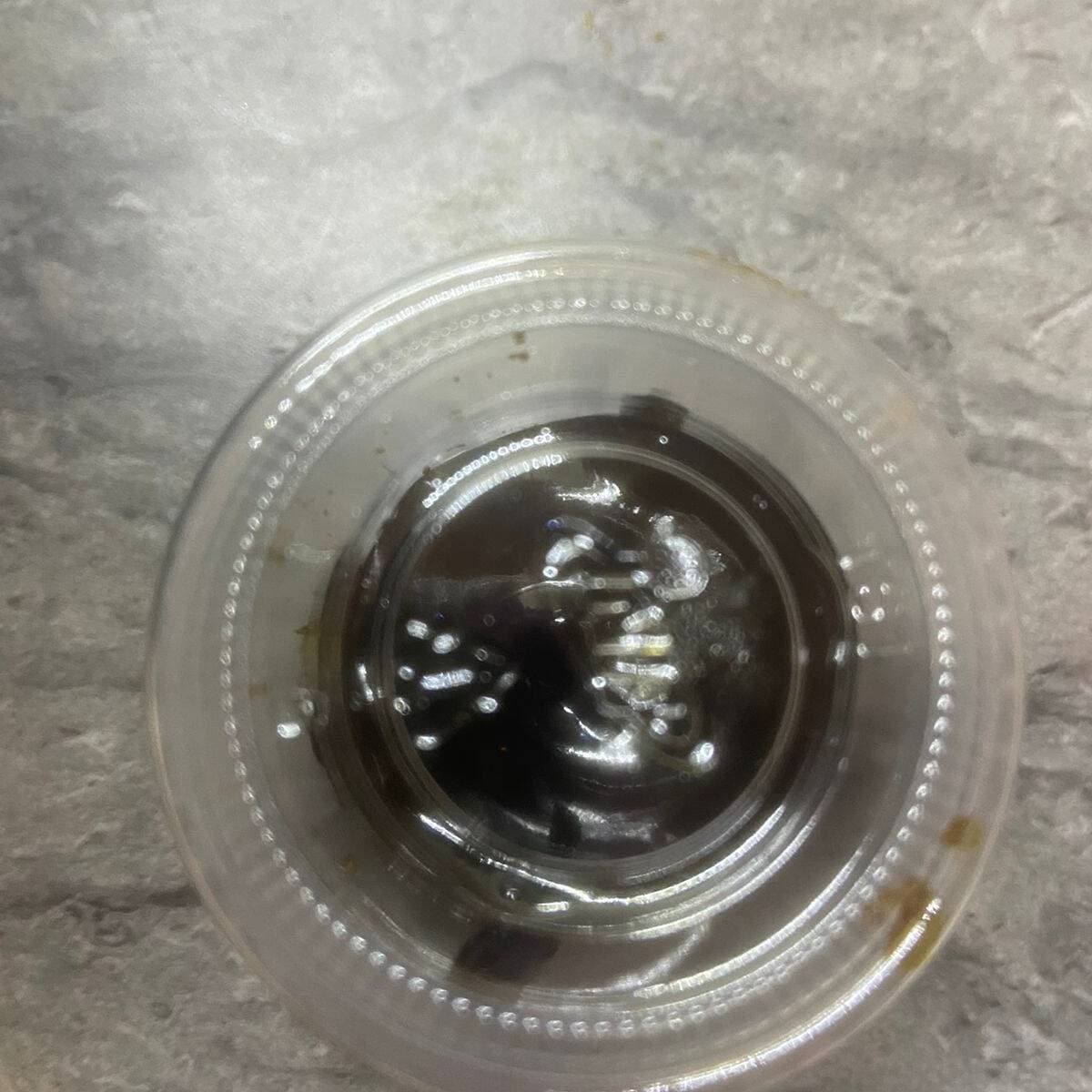 Anguila 10 Ml