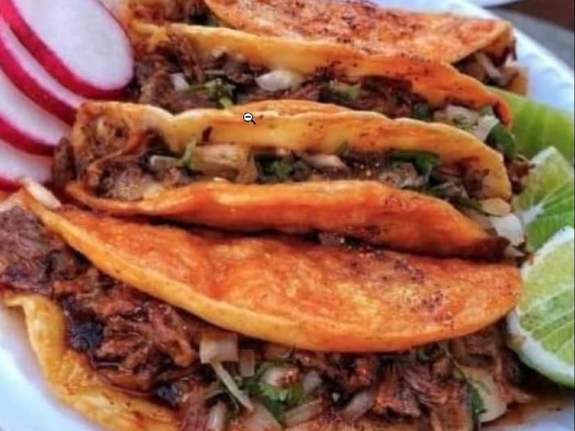 Birria el Compa Dani