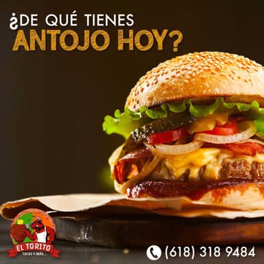 ToriBurguer Especial