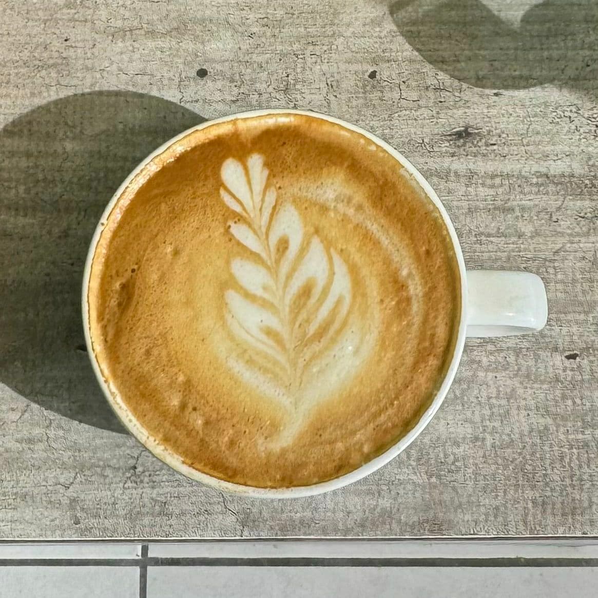 Latte 16 Oz