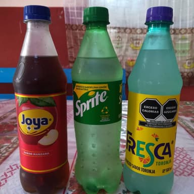 REFRESCO SABOR 600 ML