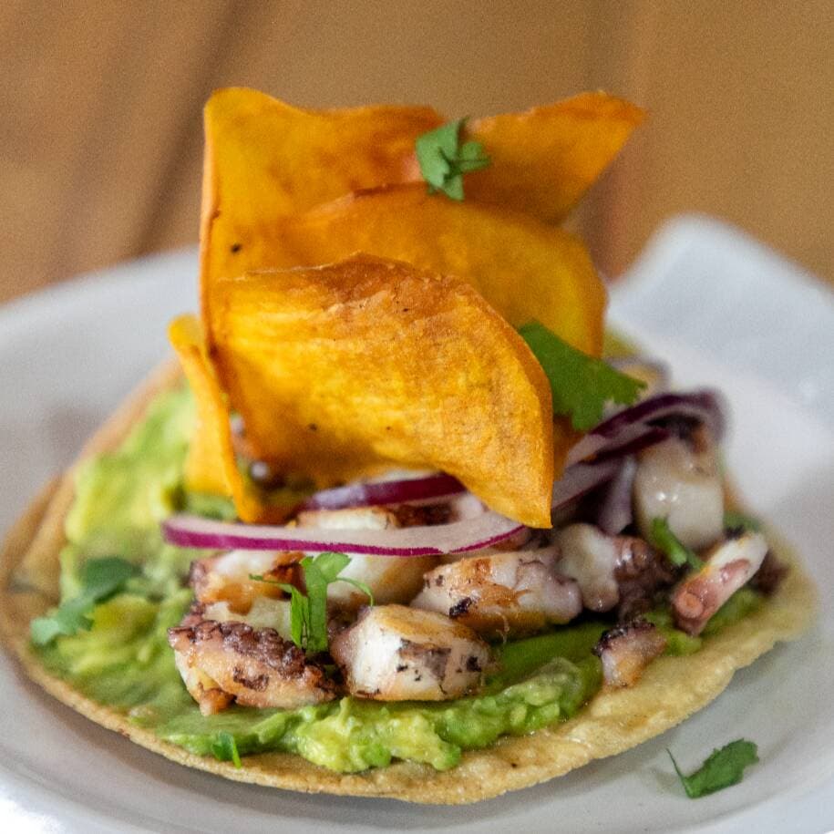 Tostada de Pulpo a la Plancha