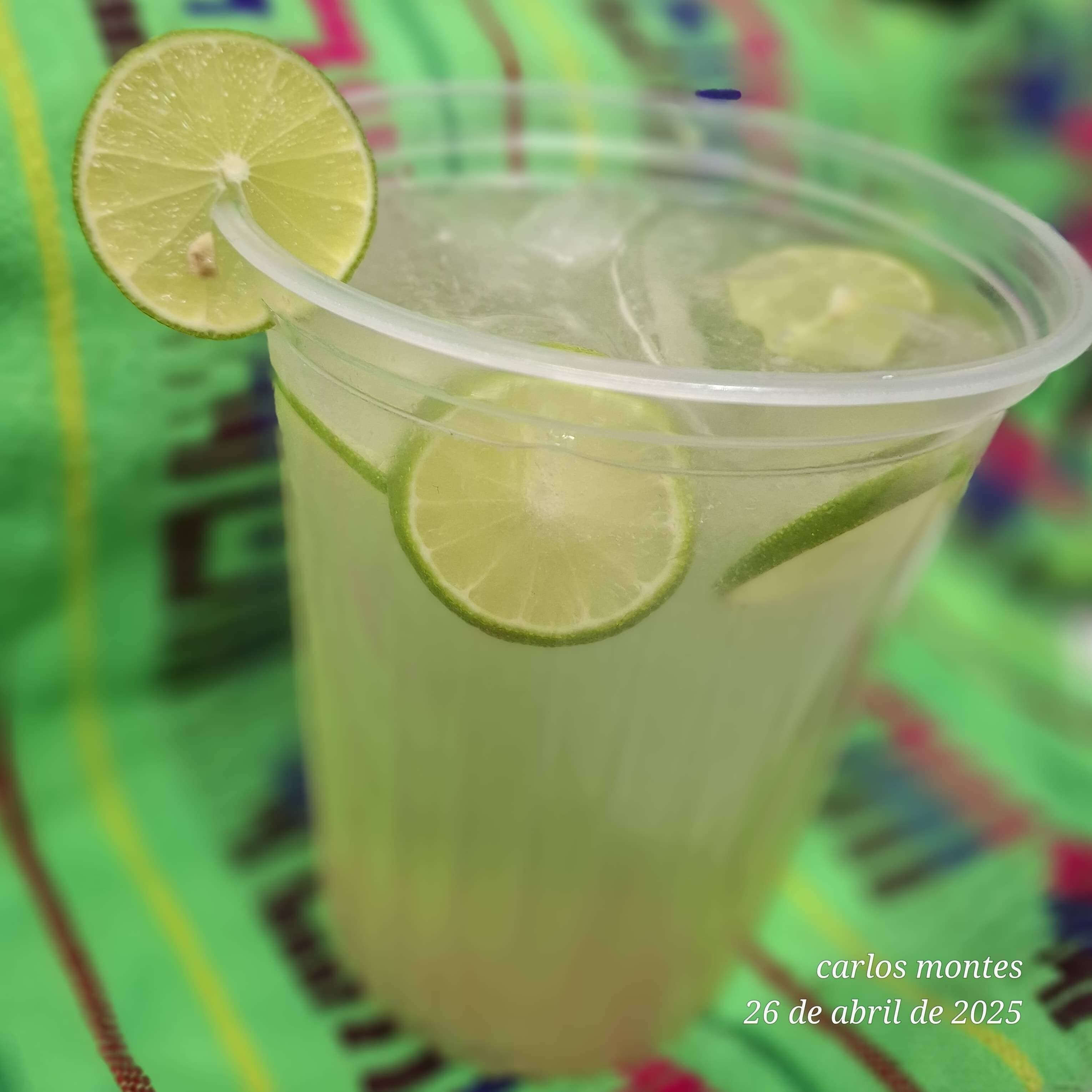 Agua de Limón 1L