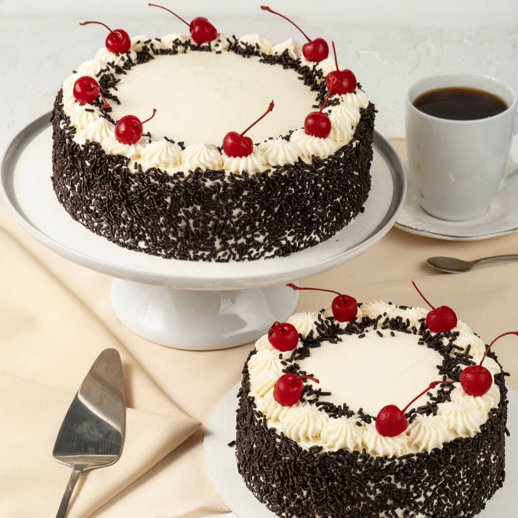 PASTEL SELVA NEGRA