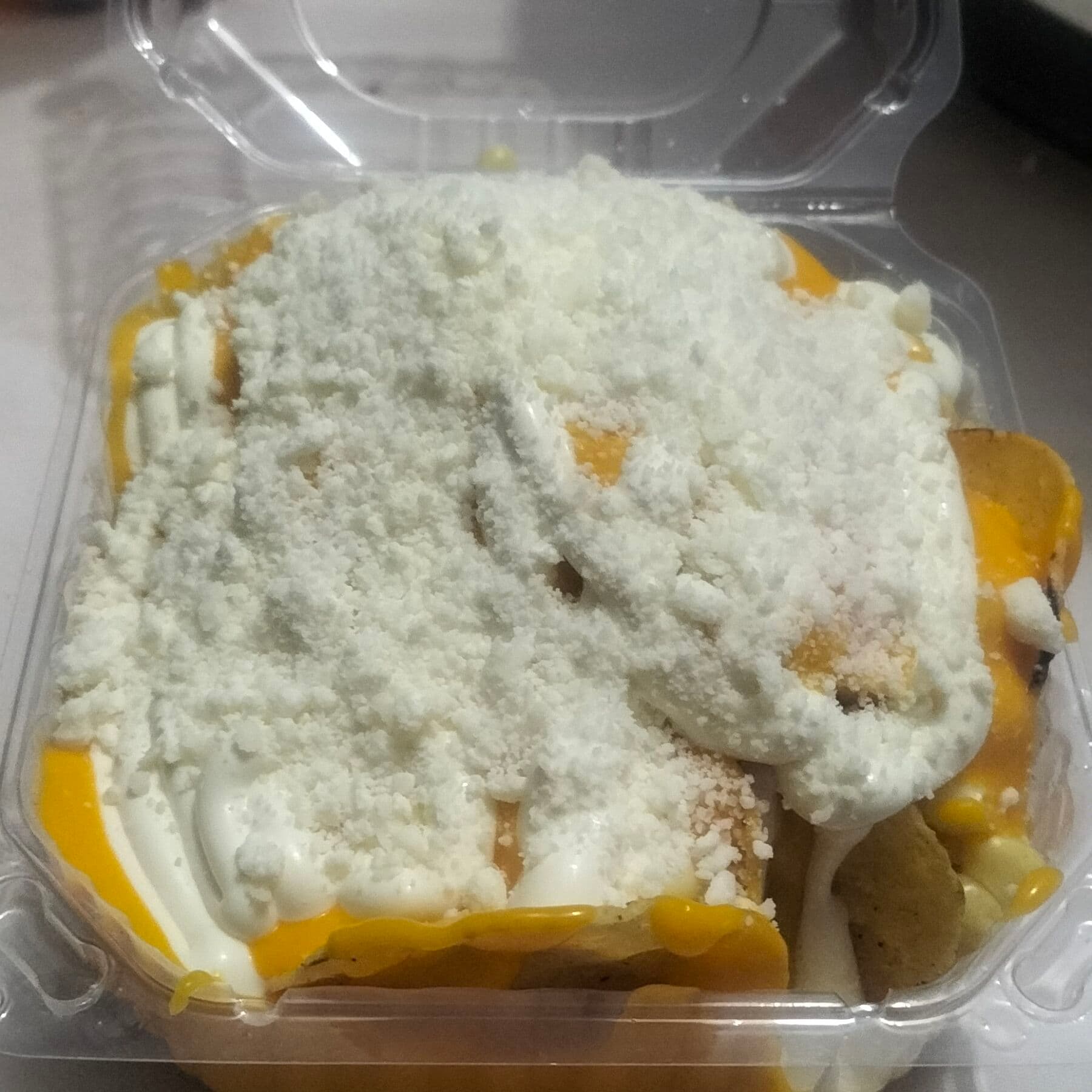Nachos Especiales