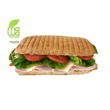 Turkey Panini