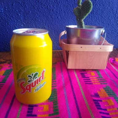 squirt toronja 355 lata