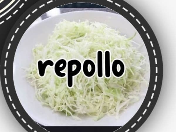 Repollo