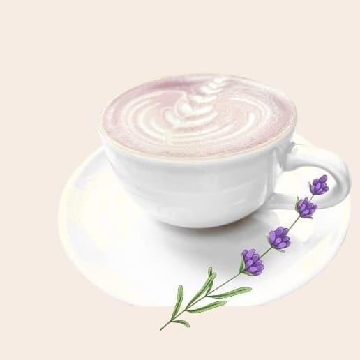Latte Lavanda