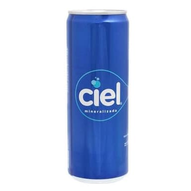 Agua mineral 355 Ml