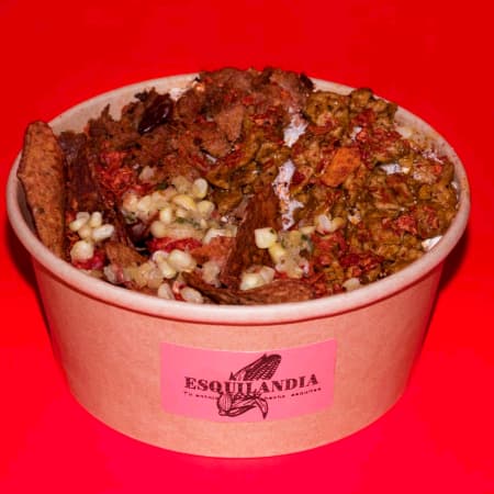 Dori-Esquites 2.0