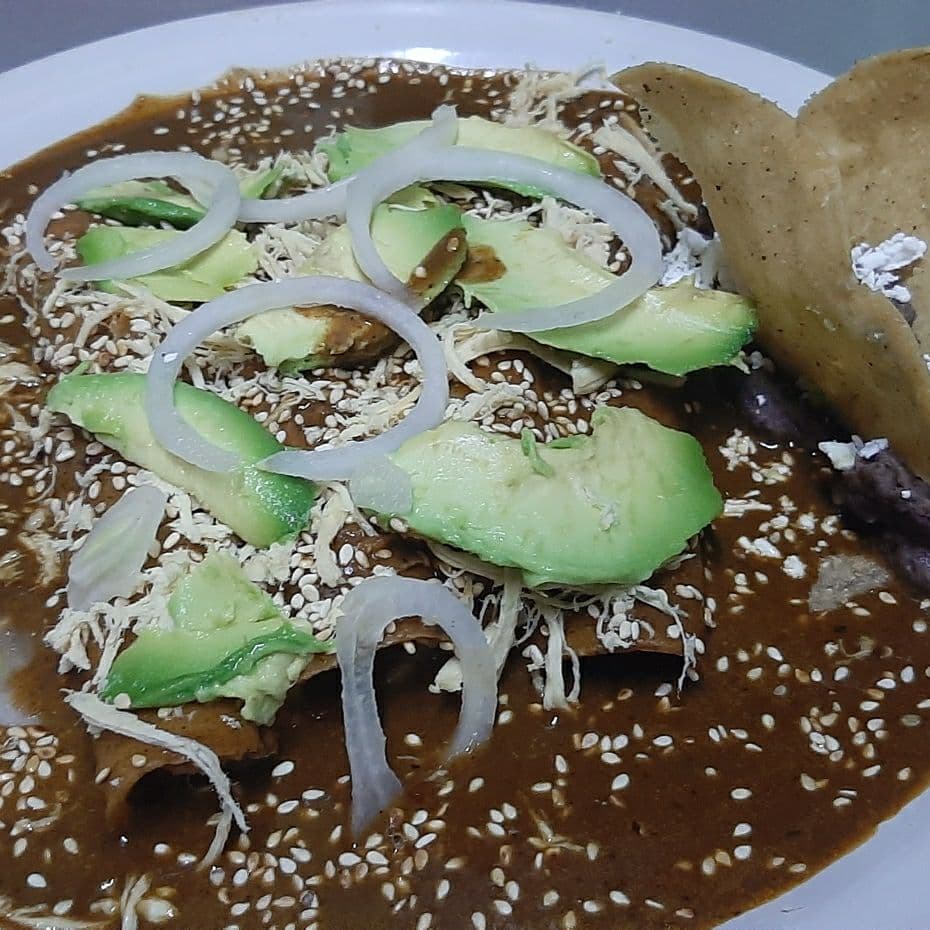 Envueltos de Mole