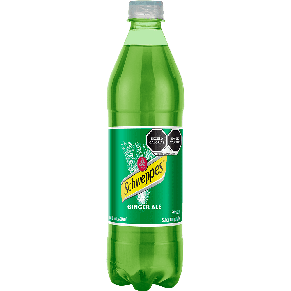 SCHWEPPES GINGER ALE 600 ML NR
