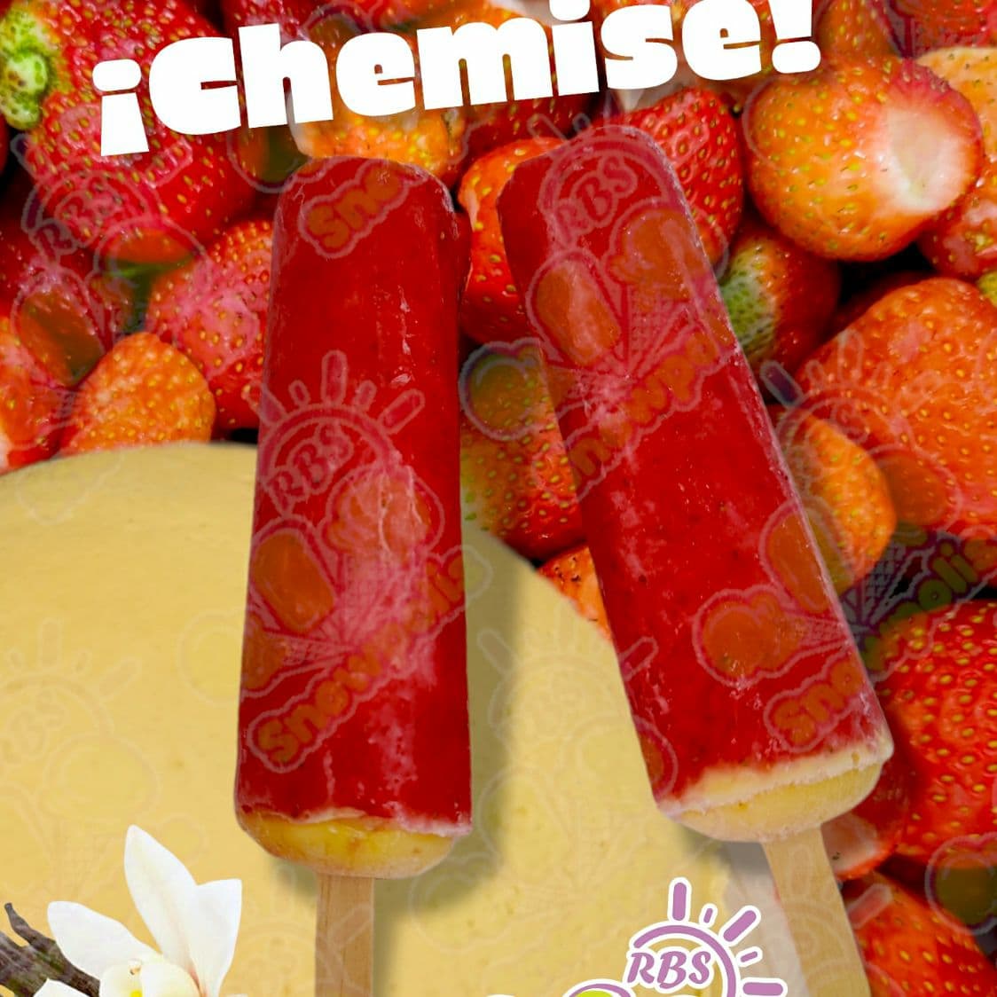 Paleta de Chemise