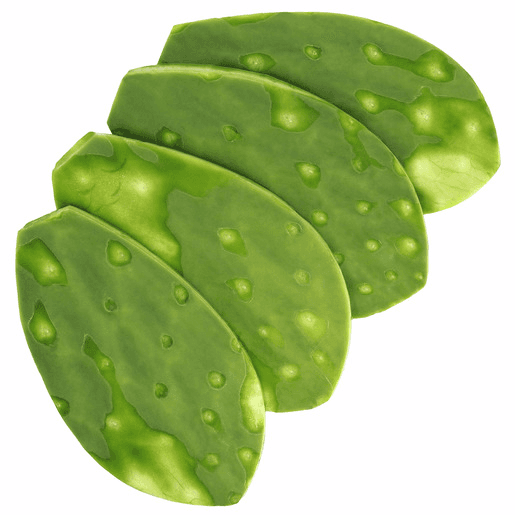 Nopal