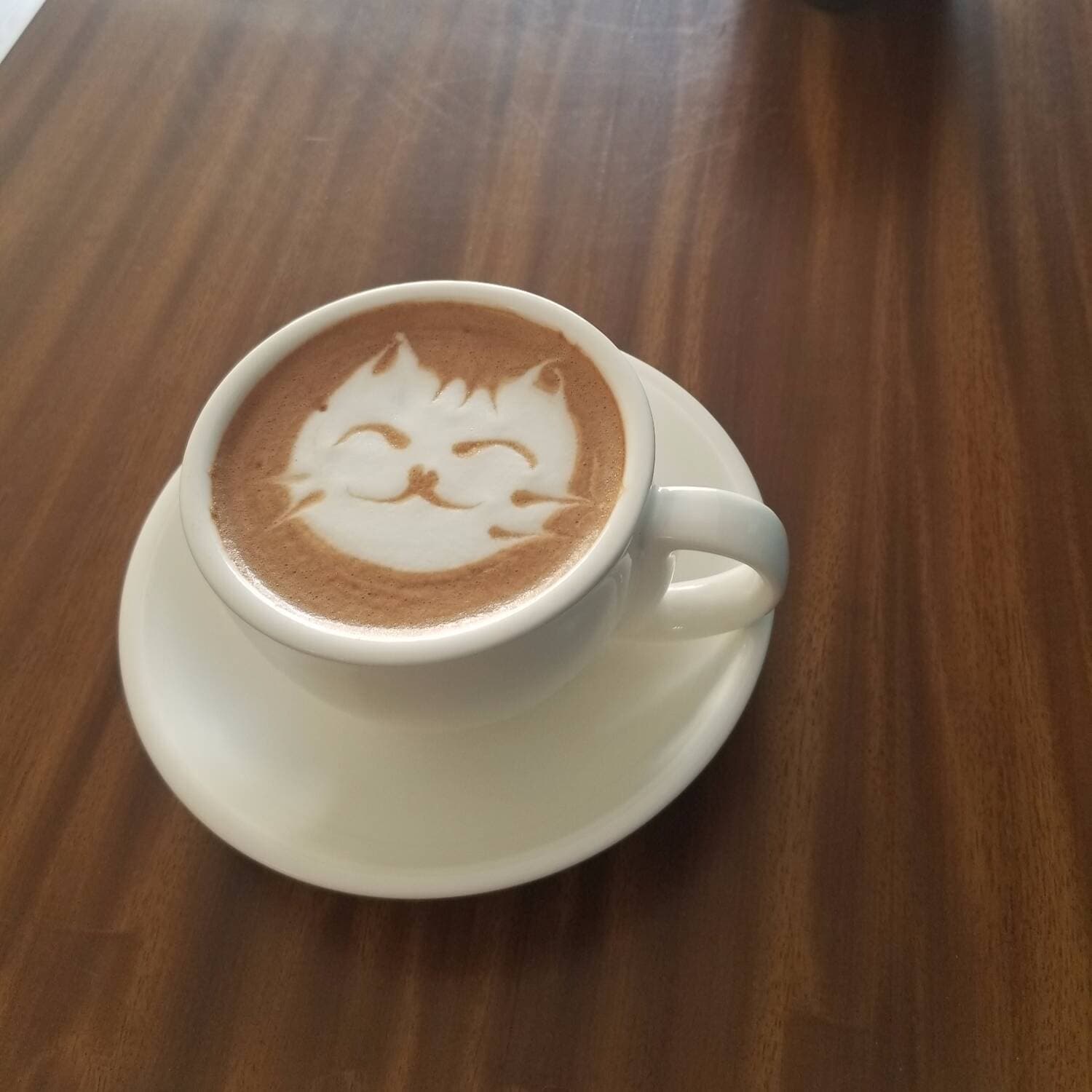 Mokalatte