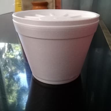 Sopa del Día 1/2