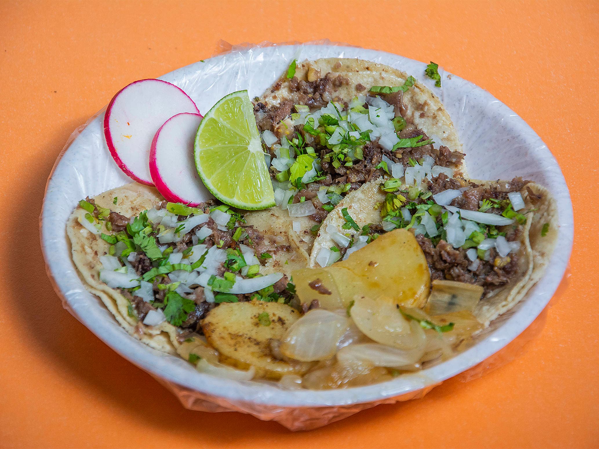 Taco de Labio