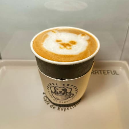 LATTE