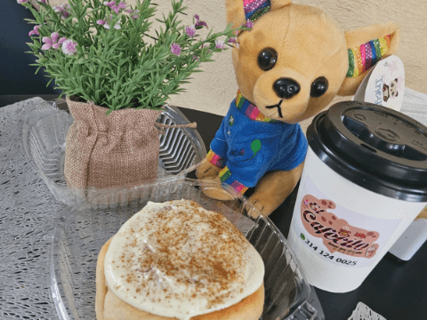 El Cafecito, Amor por el Café