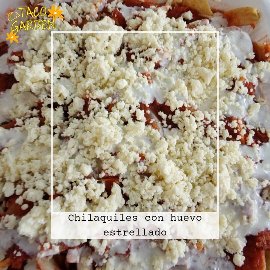 Chilaquiles Con Huevo Estrellado