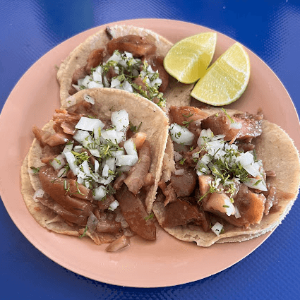 Taco de Trompa
